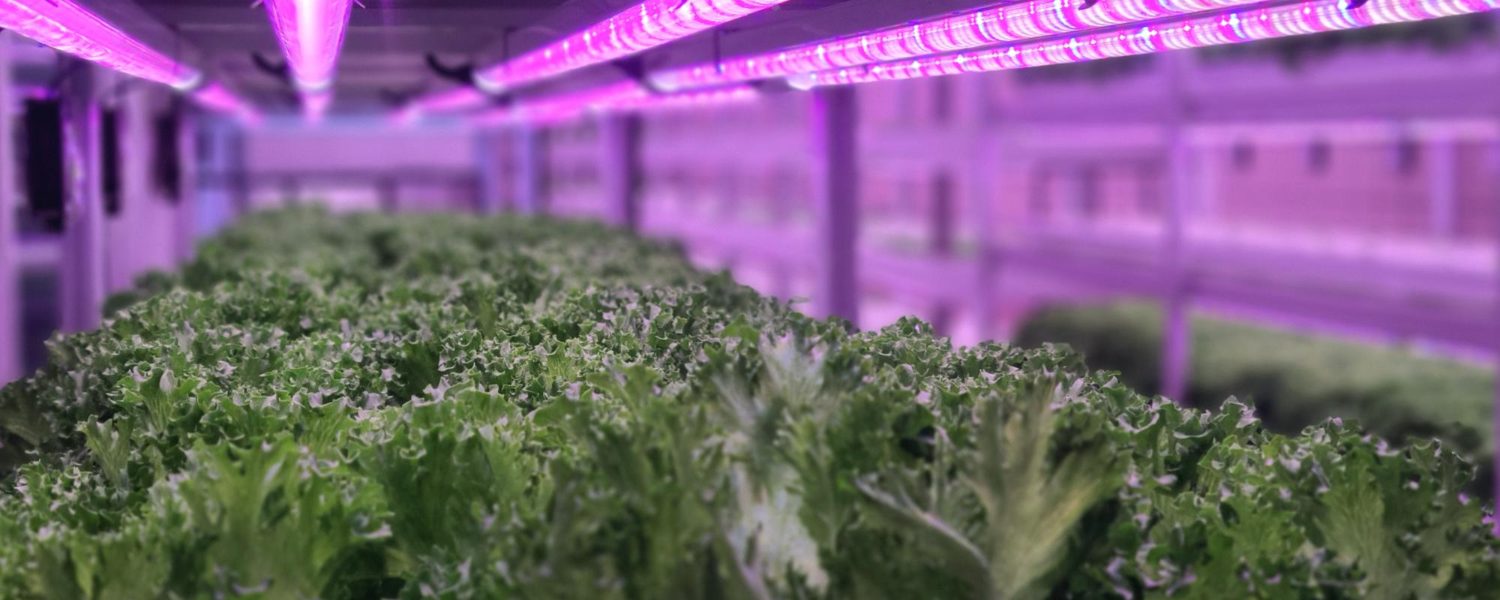 vertical farming
