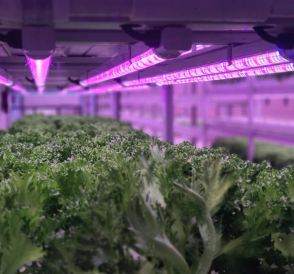 vertical farming